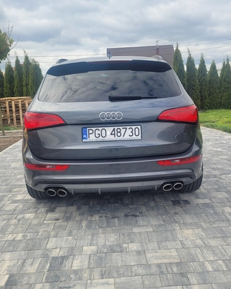 Audi SQ5 cena 89999 przebieg: 175376, rok produkcji 2014 z Szczebrzeszyn małe 172